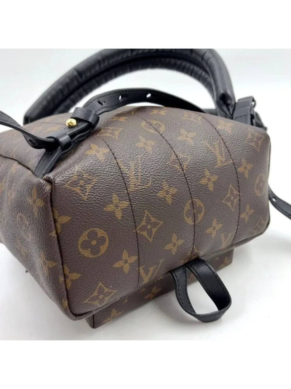 Louis Vuitton Palm Springs PM Monogram Leather